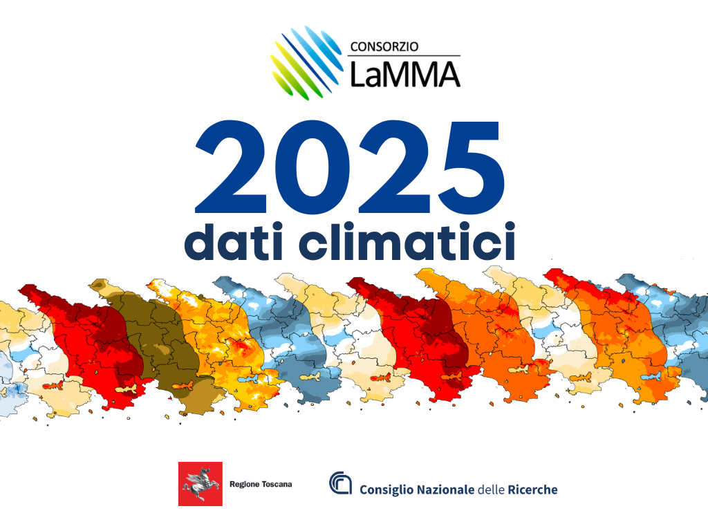 infografica 2025