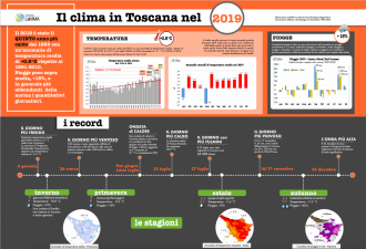 infografica 2019