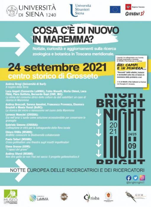 bright grosseto