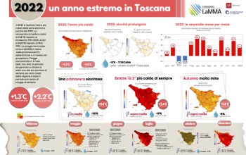 infografica 2022