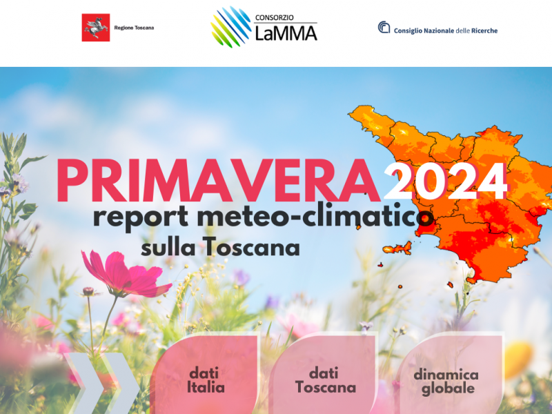 report primavera 2024